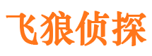 武陟婚外情调查取证